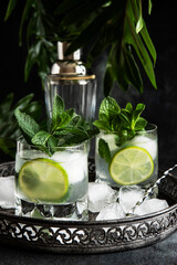 Fresh citrus  drink  or cocktail  with   mint green leaves © amberto4ka