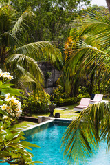Obraz premium tropical garden with a swimming pool