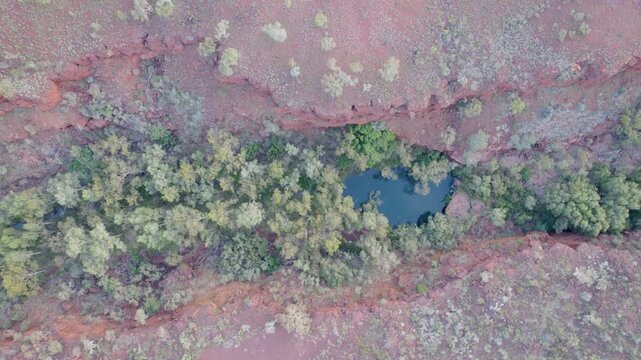 Aerial View of Emerald Waterhole Surrounded by Lush Trees in Red Gorge
