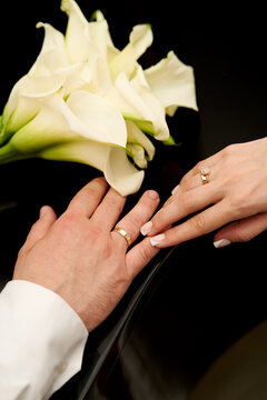 Wedding rings on the newlyweds' hands.