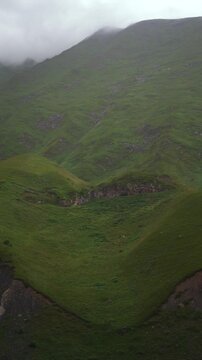 Rolling green hills on a foggy day