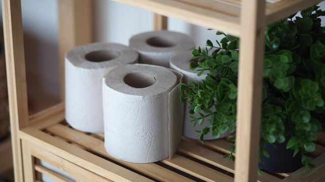 White toilet paper rolls on wooden shelf with green artificial plant in cozy home bathroom.