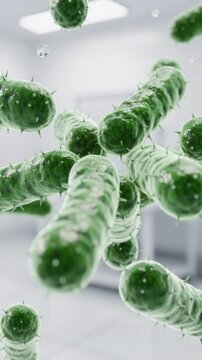 Close up of green bacteria cells with spikes in a laboratory setting for science and health research