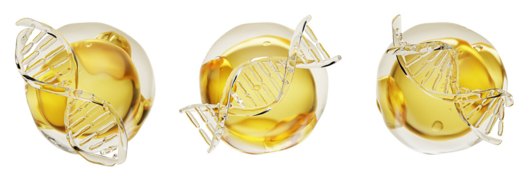 Golden oil drops 3d set with transparent liquid DNA. Salmon PDRN peptide serum with stem cells. Cosmetics ball spheres of yellow vitamin essence, repair enzymes and hyaluronic acid