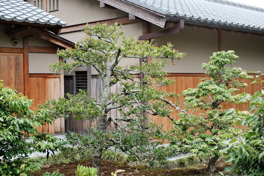 nihon teien