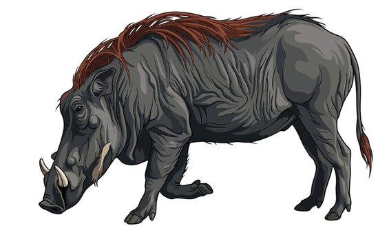 Wild Warthog hunting vector illustration logo