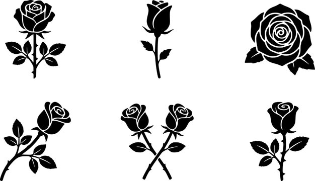 Black and white rose illustrations set isolated on a clean white background
