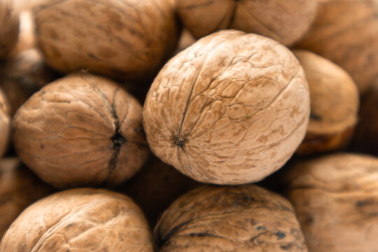 Close up of walnuts in their shells with detailed texture