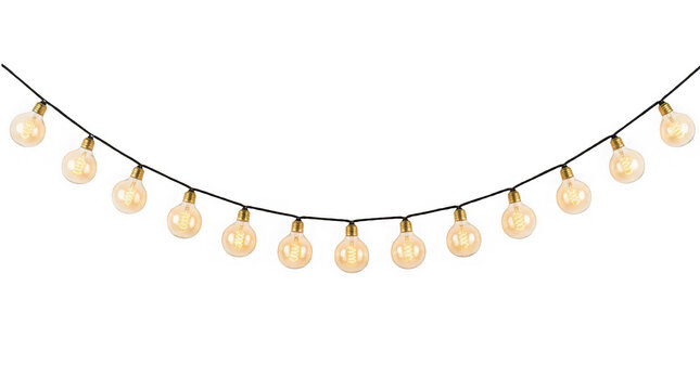 String of vintage edison light bulbs isolated on transparent background