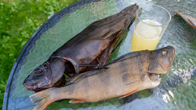 A beautifully presented dish of freshly caught fish paired with a refreshing drink, elegantly arranged on a glass table, set against a lush green outdoor backdrop during bright daylight hours