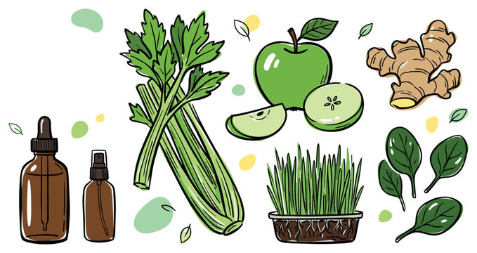 Health and nutrition vector illustration with apple celery and herbal bottles for packaging design in colorful hand drawn style