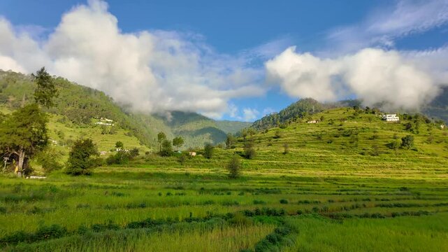 Lush Terraced Fields on Nanda Devi Raj Jat Route Between Dewal and Mundoli, Uttarakhand