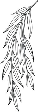 Minimalist willow branch line art, elegant botanical leaf vector illustration, black and white hanging foliage sketch for wedding invitations