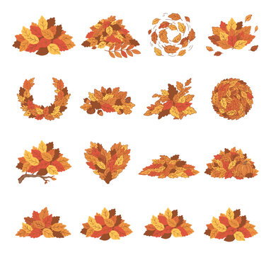 Set of Autumn Leaves Collections and Seasonal Designs