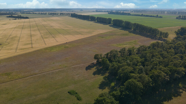 Aerial View of an Extensive Agricultural Landscape with Fields and Forest.