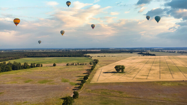 Hot Air Balloons Over Vast Agricultural Landscape in Evening Light.