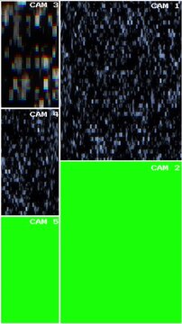 Camera CCTV monitor layout distorted surveillance feeds green replacement panels. security hubs, monitoring, editing, chroma key inserts, control centers, crime scenes, wall, technical interfaces.