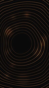 Thin golden contour lines concentric rings a deep black background open center. motion for luxury branding, modern presentations, music visuals, product showcases, elegant titles, technology projects.