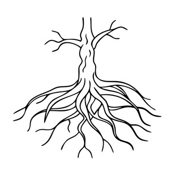 Tree roots system underground illustration - A clean black and white vector of a tree root system spreading underground in soil.