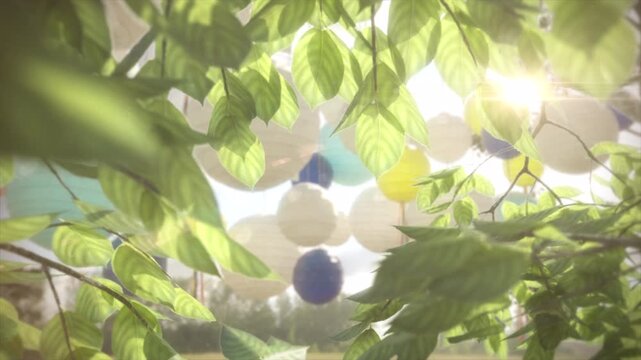 Abstract circular shapes seen through lush green garden foliage.