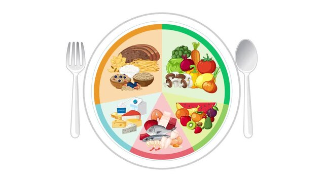 Nutrition guide animation showing food plate with healthy eating portions for balanced diet, motion graphics.