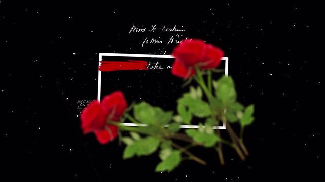 Aesthetic red roses with white frame on black background with glitch effects.