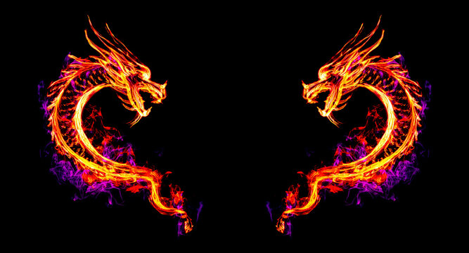 Fire dragon made of fire flame on the dark background