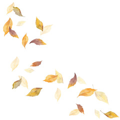 Plakat Modern minimalist watercolor composition of autumn leaves with warm earthy tones. Clean and stylish design suitable for contemporary branding, prints, and social media visuals.