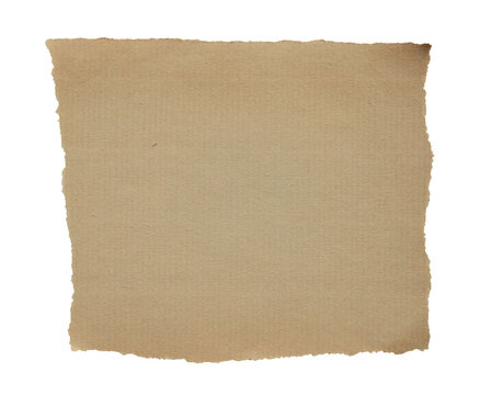 isolated torn brown kraft paper sheet for design mockup