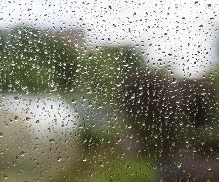 Raindrops cling to a windowpane