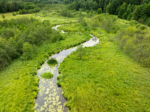 Winding river navigating through green Polish forest in summer, aerial.