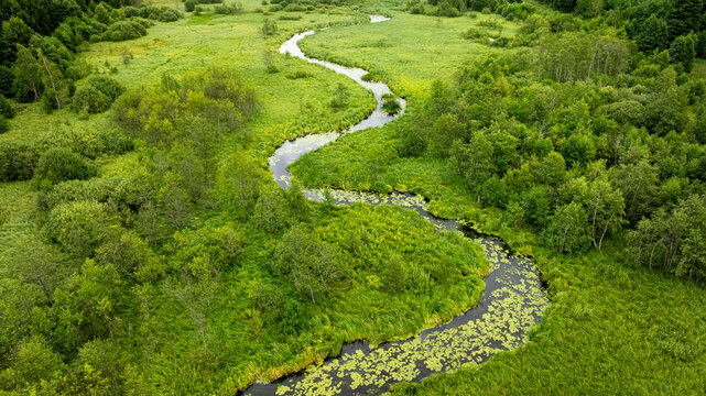 Aerial shot of meandering river in a green summer forest.