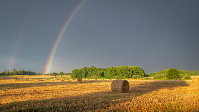 Golden sunset rainbow above a post-rain harvest field, countryside.