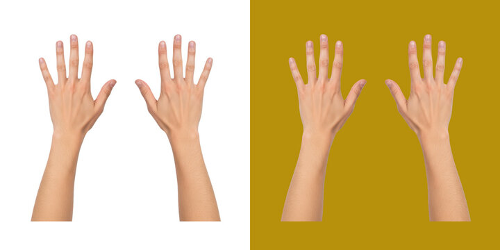 Two pairs of human hands open with palms facing forward transparent png