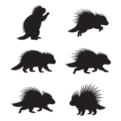 Fototapeta premium Collection of Porcupine silhouettes designs