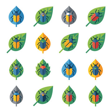 Vector illustration of a Junebug or May beetle (Phyllophaga) resting on a green leaf, featuring detailed insect anatomy and legs, suitable for nature and entomology designs.