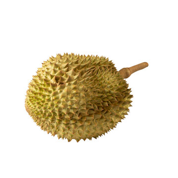 Durian, cutout, full depth of field.
