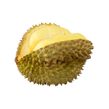Durian, cutout, full depth of field.