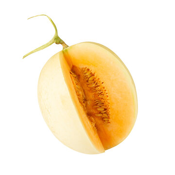 Cantaloupe half cutout, full depth of field.