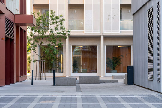 Modern architecture courtyard with clean paving, young tree, windows and layered facades creating a quiet urban exterior with clear spatial depth