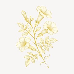 Obraz premium Elegant golden floral illustration