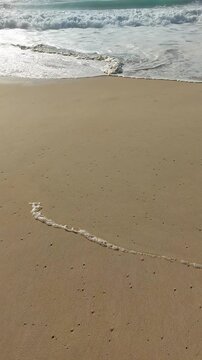  La plage de Messanges  entre for&ecirc;t landaise et oc&eacute;an. Landes - Aquitaine