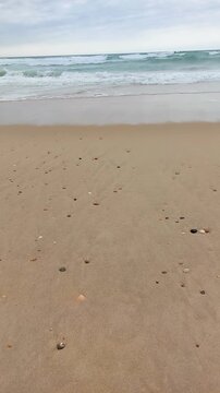  La plage de Messanges  entre for&ecirc;t landaise et oc&eacute;an. Landes - Aquitaine