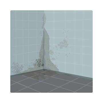 Mold spots on walls and floor in room corner, water or condensation damage, damp stains, dark fungal and mildew problems, home neglect, leakage or humidity issues, unhygienic conditions in room,vector