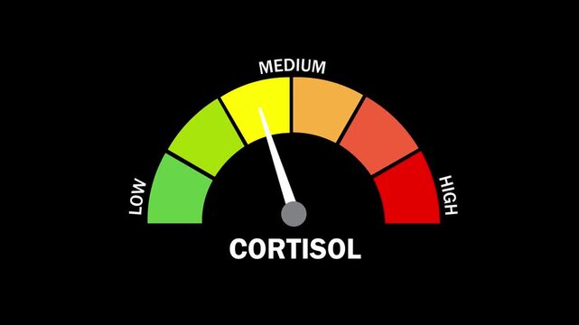 Animated indicator showing low cortisol levels and a drop in cortisol, black background, motion graphics, 4K video.