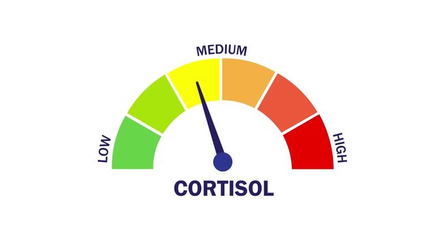 Animation showing a decrease in cortisol stress hormone levels; the cortisol indicator needle points to "low," illustrating reduced anxiety and health recovery; white background; 4K video.