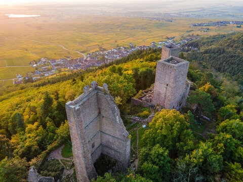 FRANCE. ALSACE. HAUT-RHIN 68 AERIAL VIEW OF EGUISHEIM. AUTUMN COLOURS AT THE THREE CASTLES, MEDIEVAL RUINS FROM THE 10TH?12TH CENTURIES PERCHED ON THE SCHLOSSBERG 591 M
