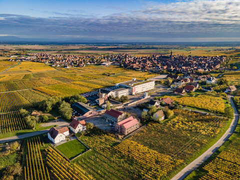 FRANCE. ALSACE. BAS-RHIN 67 AERIAL VIEW OF DAMBACH-LA-VILLE ON THE ALSACE WINE ROUTE IN AUTUMN.