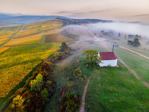FRANCE. ALSACE. HAUT-RHIN 68 AERIAL VIEW OF THE BOLLENBERG CHAPEL KNOWN AS THE WITCHES' CHAPEL BECAUSE OF THE LEGENDS ASSOCIATED WITH THIS HILL IN AUTUMN, SHROUDED IN MIST.