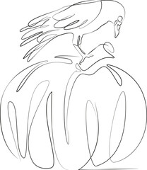 Obraz premium One continuous line drawing on white isolated background. Minimalism linear illustration. halloween, pumpkin, autumn, skittish, graphic, raven, illustration, bird, black, decoration